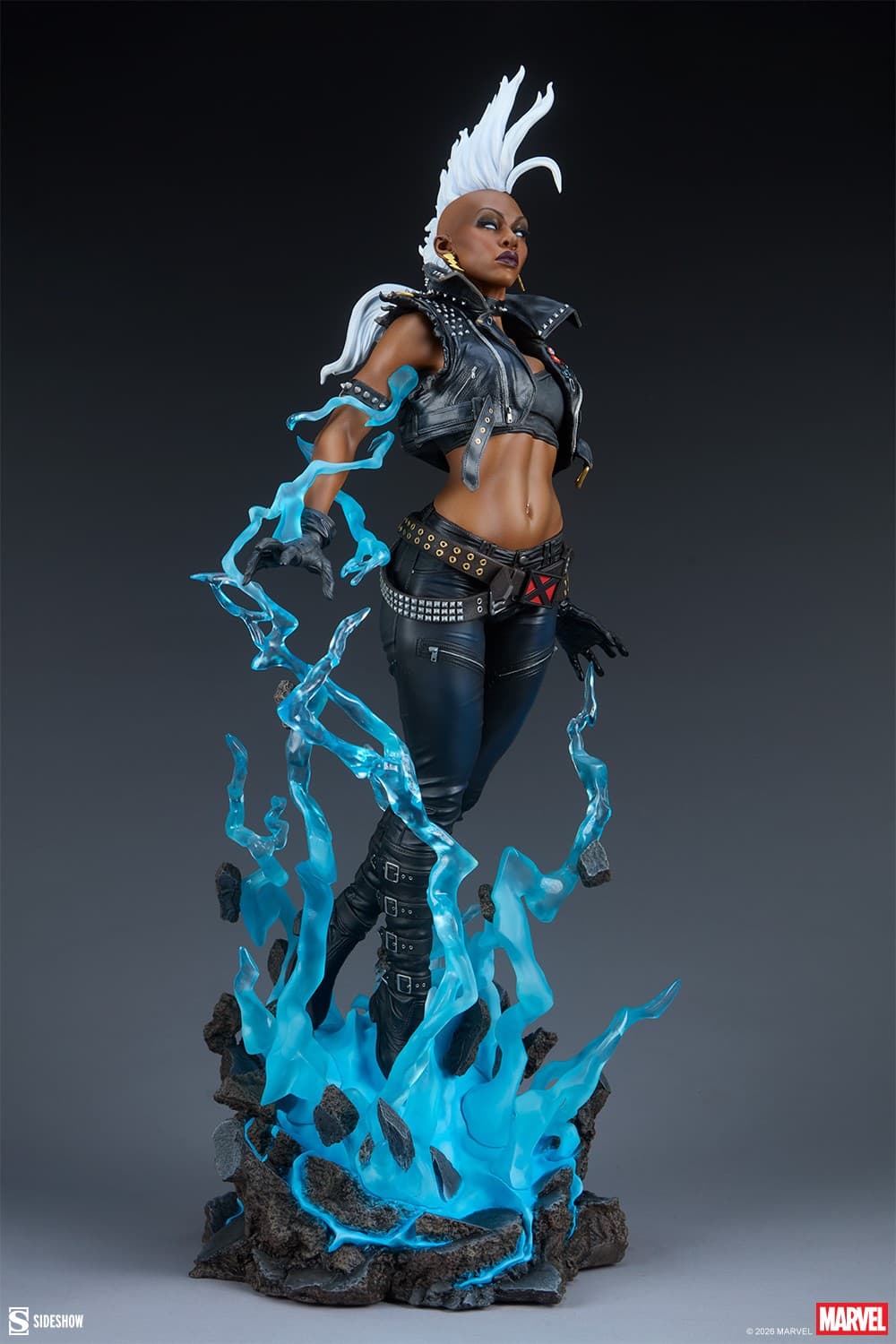 Storm - Premium Format - Vue 10