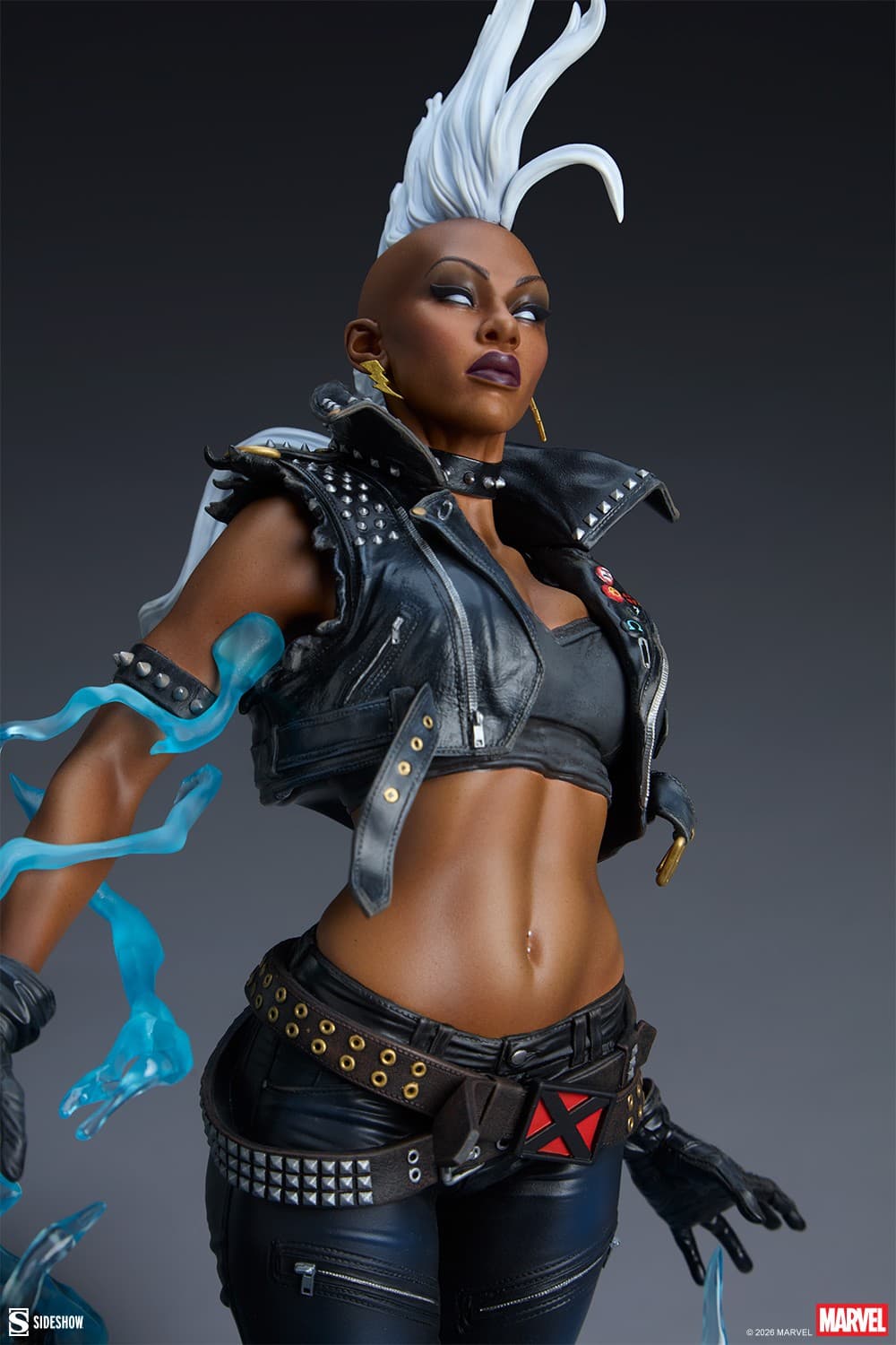 Storm - Premium Format - Vue 11