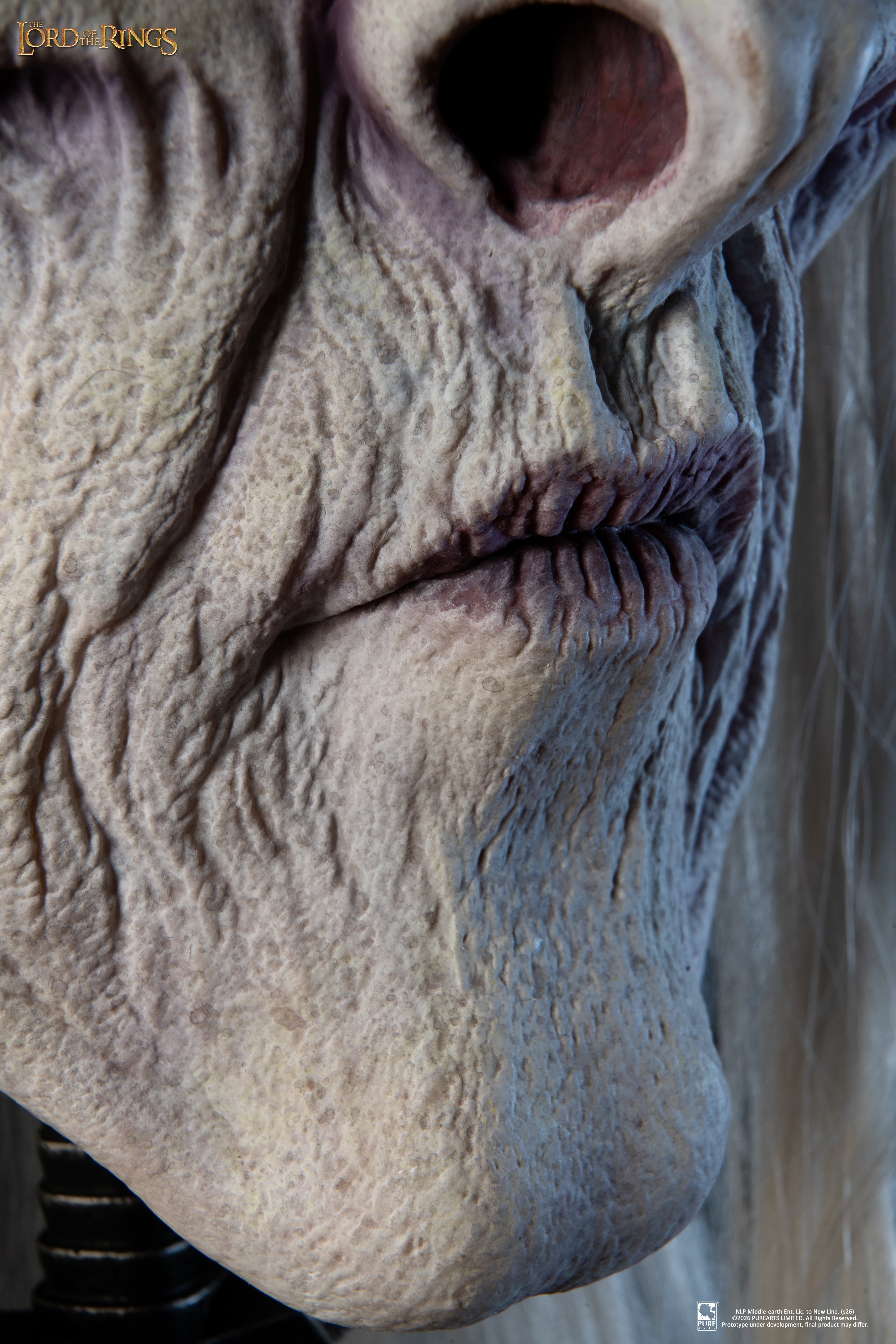 Nazgul King (Version Classique) - Vue 28
