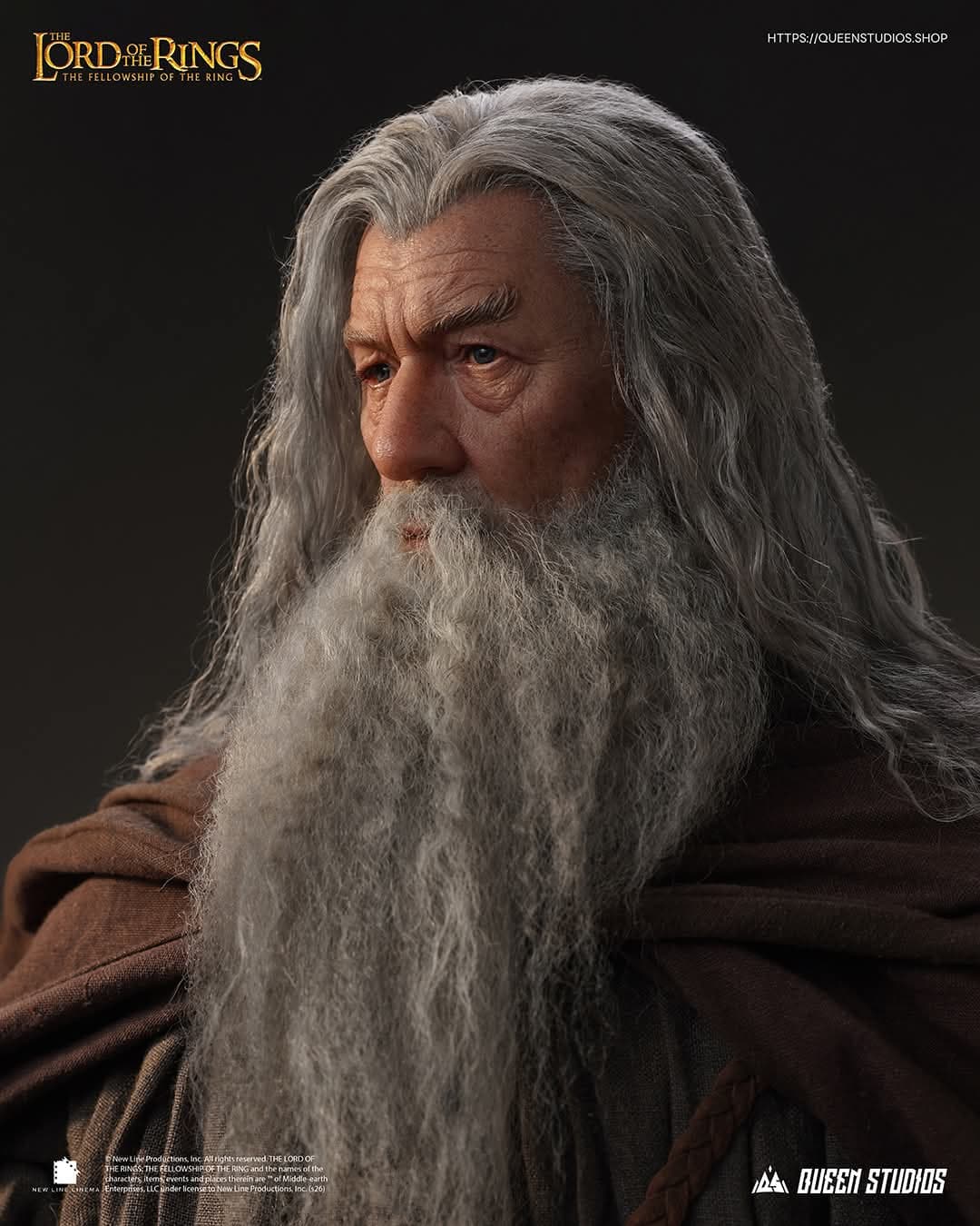 Gandalf - Vue 8