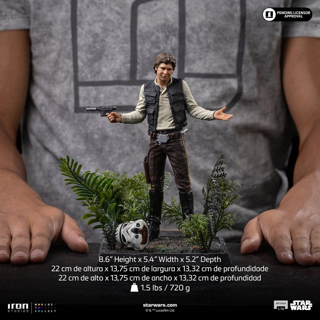 Han Solo - Vue 10