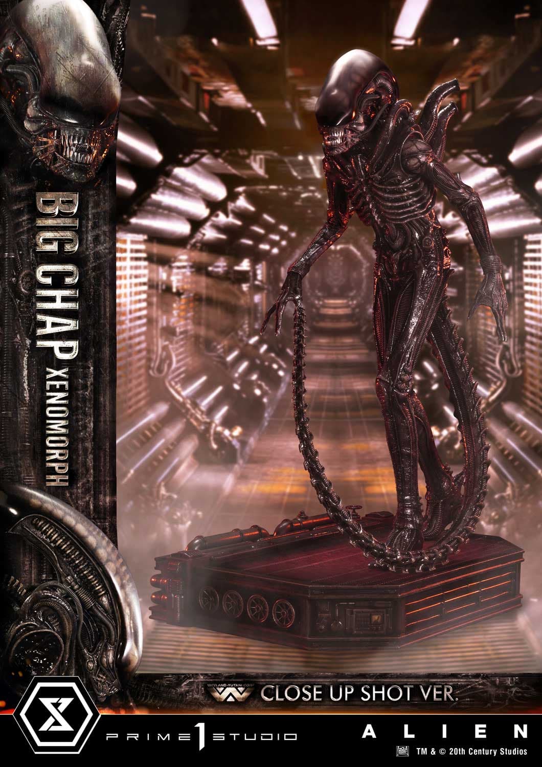 Big Chap Xenomorph (Version Regular) - Museum Masterline XL - Vue 2