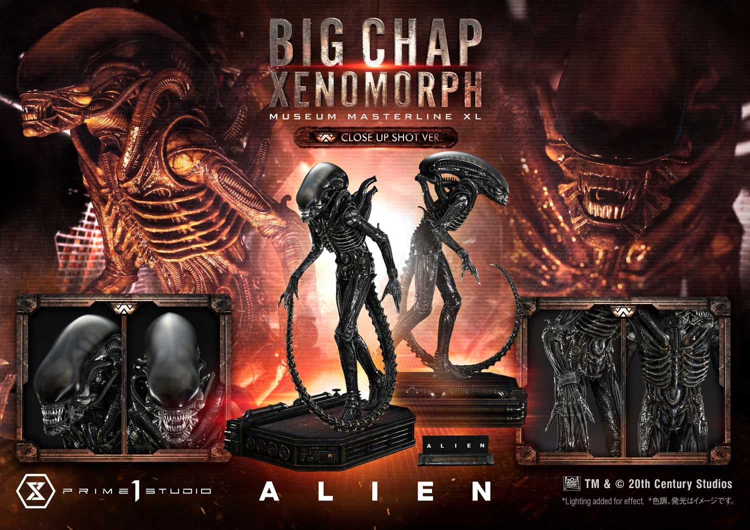 Big Chap Xenomorph (Version Regular) - Museum Masterline XL - Vue 4