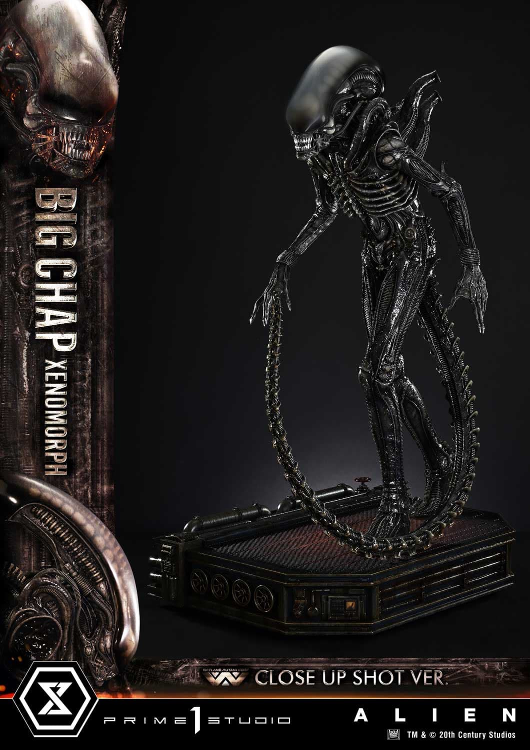 Big Chap Xenomorph (Version Regular) - Museum Masterline XL - Vue 5