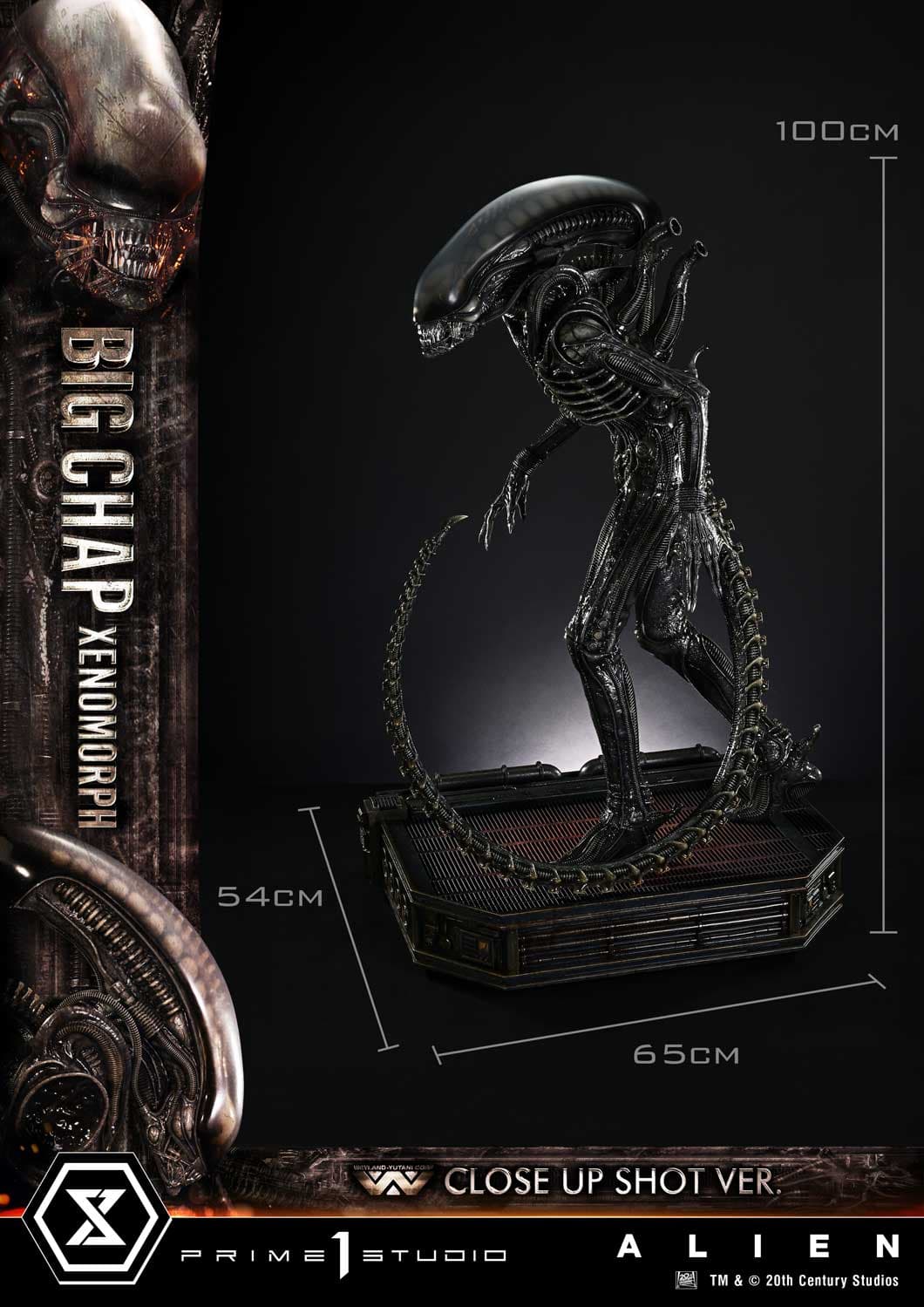 Big Chap Xenomorph (Version Regular) - Museum Masterline XL - Vue 6