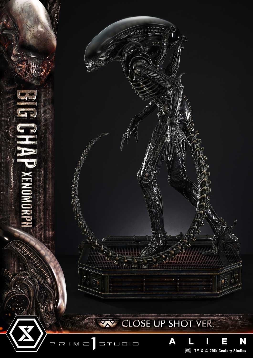 Big Chap Xenomorph (Version Regular) - Museum Masterline XL - Vue 7