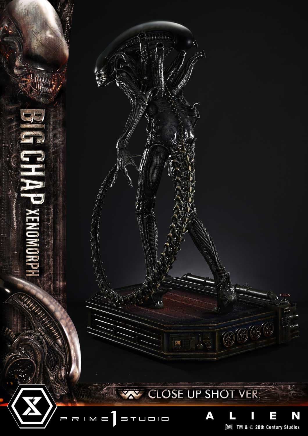 Big Chap Xenomorph (Version Regular) - Museum Masterline XL - Vue 8