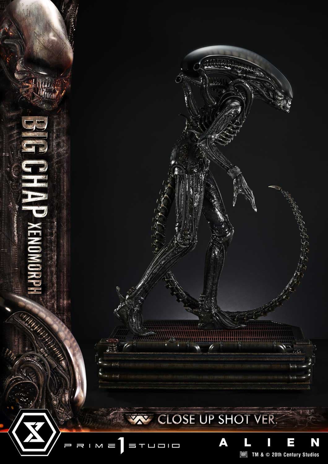 Big Chap Xenomorph (Version Regular) - Museum Masterline XL - Vue 9