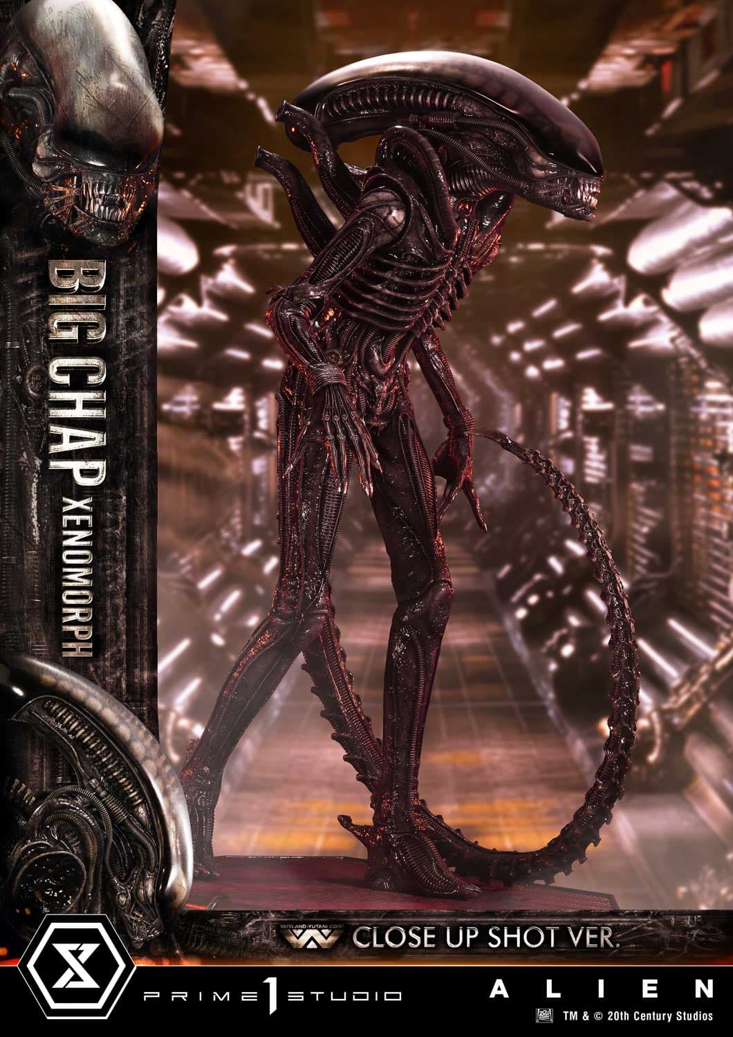 Big Chap Xenomorph (Version Regular) - Museum Masterline XL - Vue 10