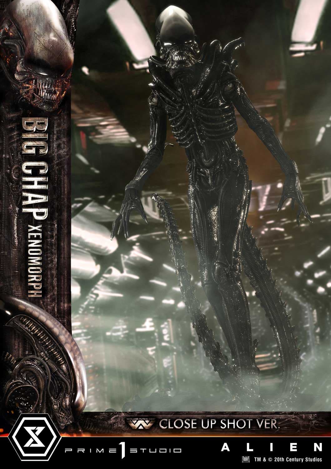 Big Chap Xenomorph (Version Regular) - Museum Masterline XL - Vue 11
