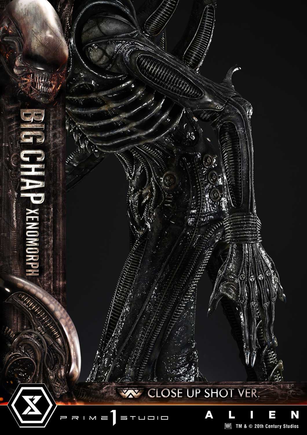 Big Chap Xenomorph (Version Regular) - Museum Masterline XL - Vue 12