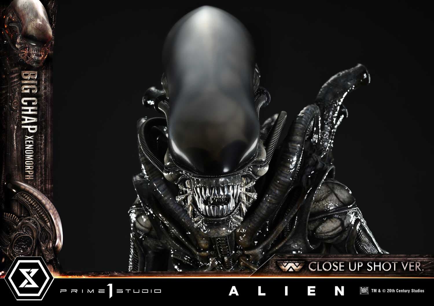 Big Chap Xenomorph (Version Regular) - Museum Masterline XL - Vue 13