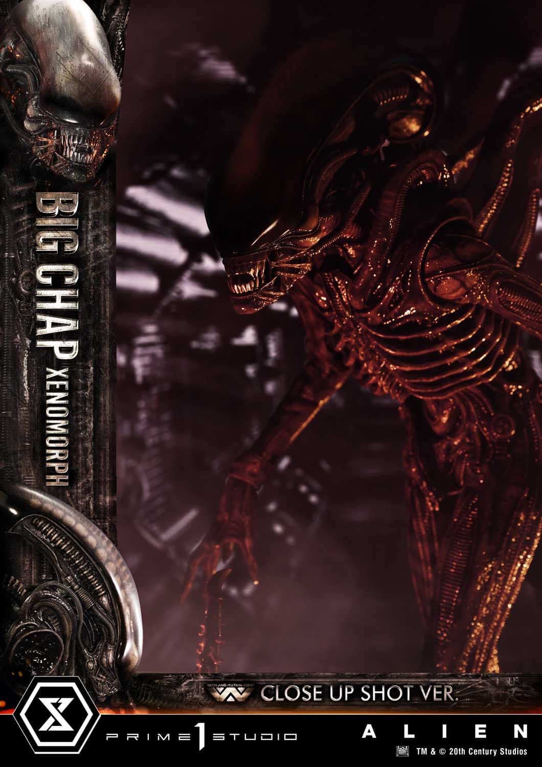 Big Chap Xenomorph (Version Regular) - Museum Masterline XL - Vue 15