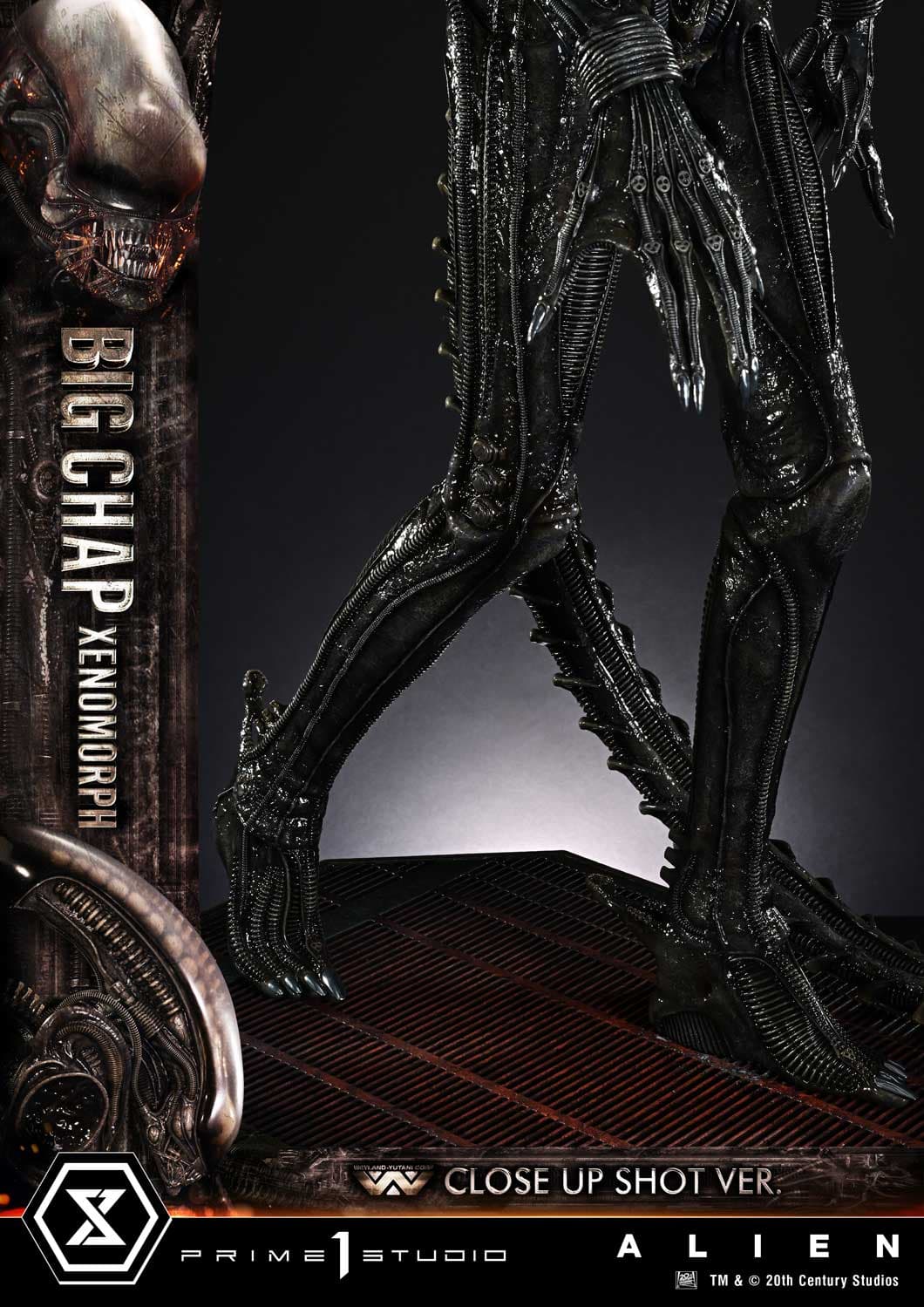 Big Chap Xenomorph (Version Regular) - Museum Masterline XL - Vue 16