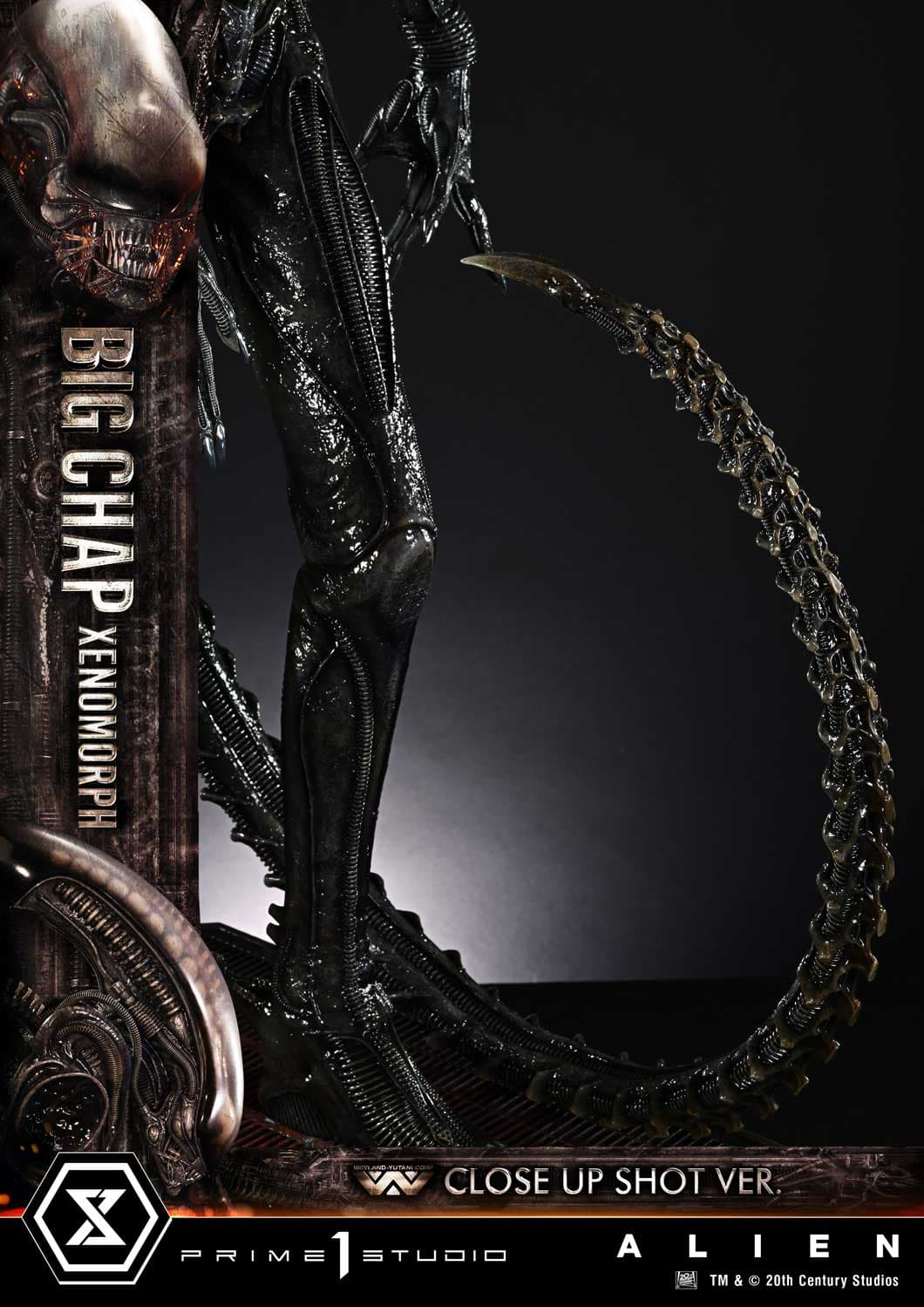 Big Chap Xenomorph (Version Regular) - Museum Masterline XL - Vue 17