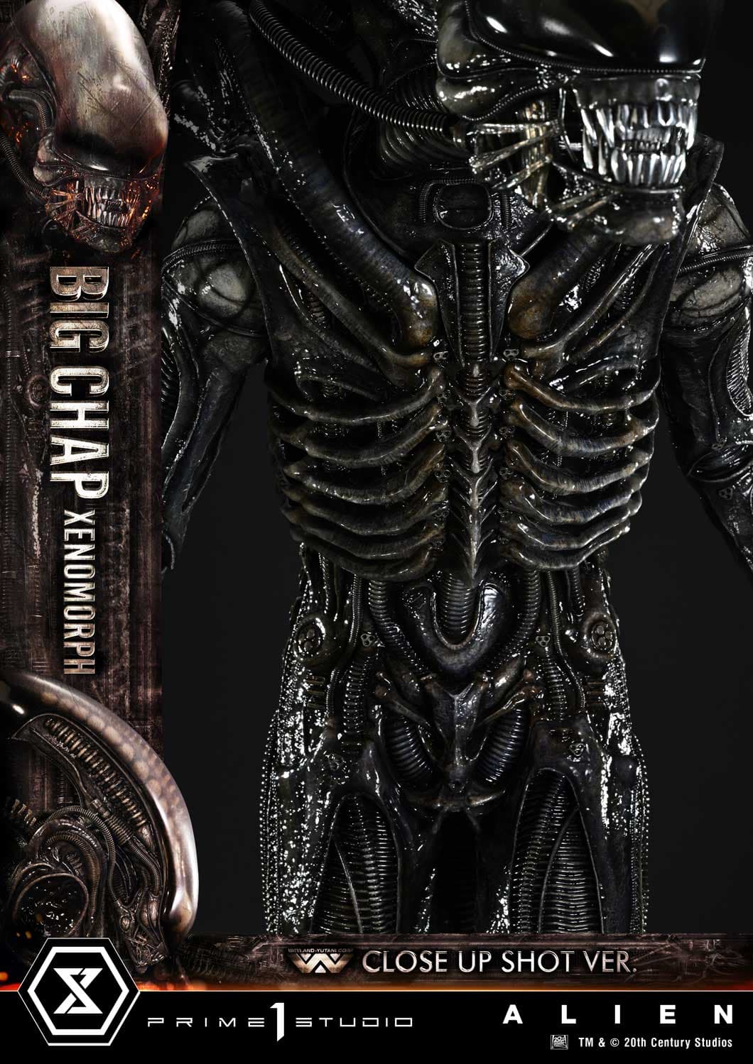 Big Chap Xenomorph (Version Regular) - Museum Masterline XL - Vue 18
