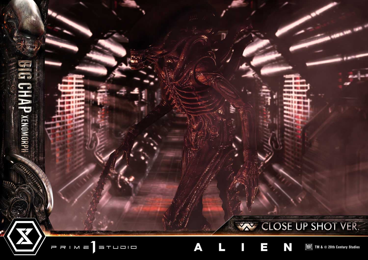 Big Chap Xenomorph (Version Regular) - Museum Masterline XL - Vue 19