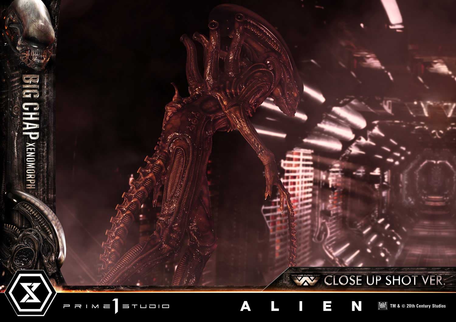 Big Chap Xenomorph (Version Regular) - Museum Masterline XL - Vue 20