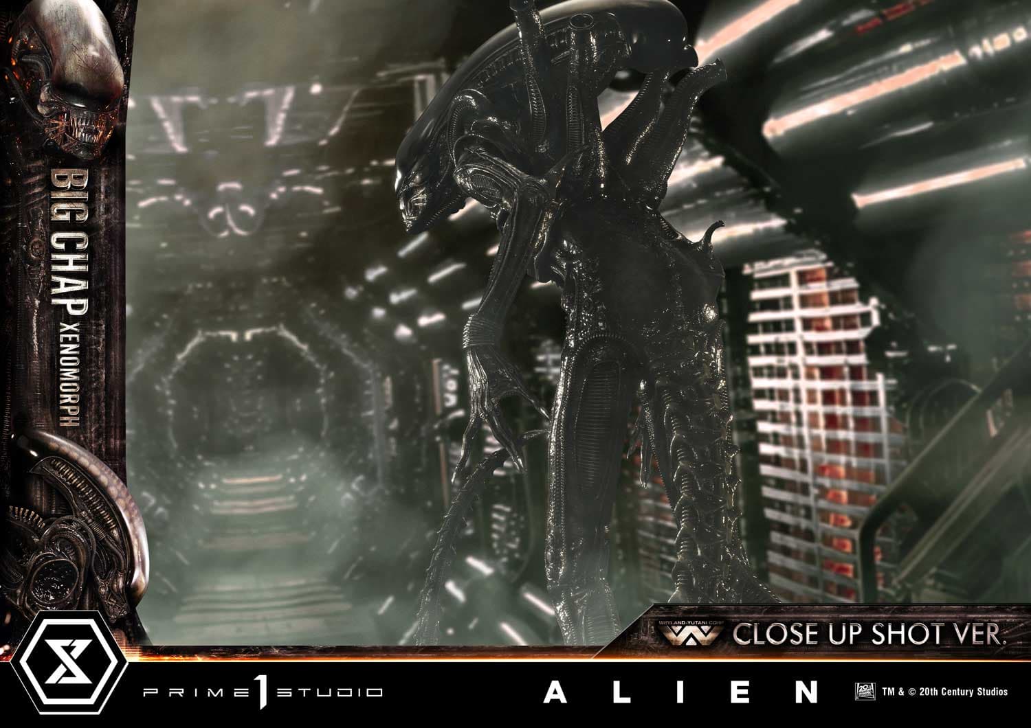 Big Chap Xenomorph (Version Regular) - Museum Masterline XL - Vue 21