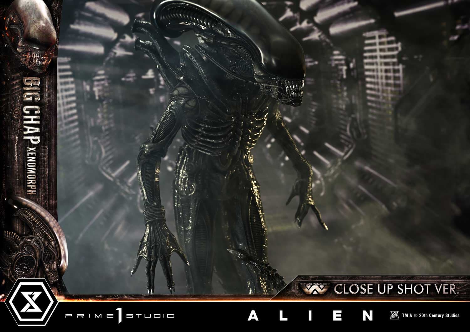 Big Chap Xenomorph (Version Regular) - Museum Masterline XL - Vue 22