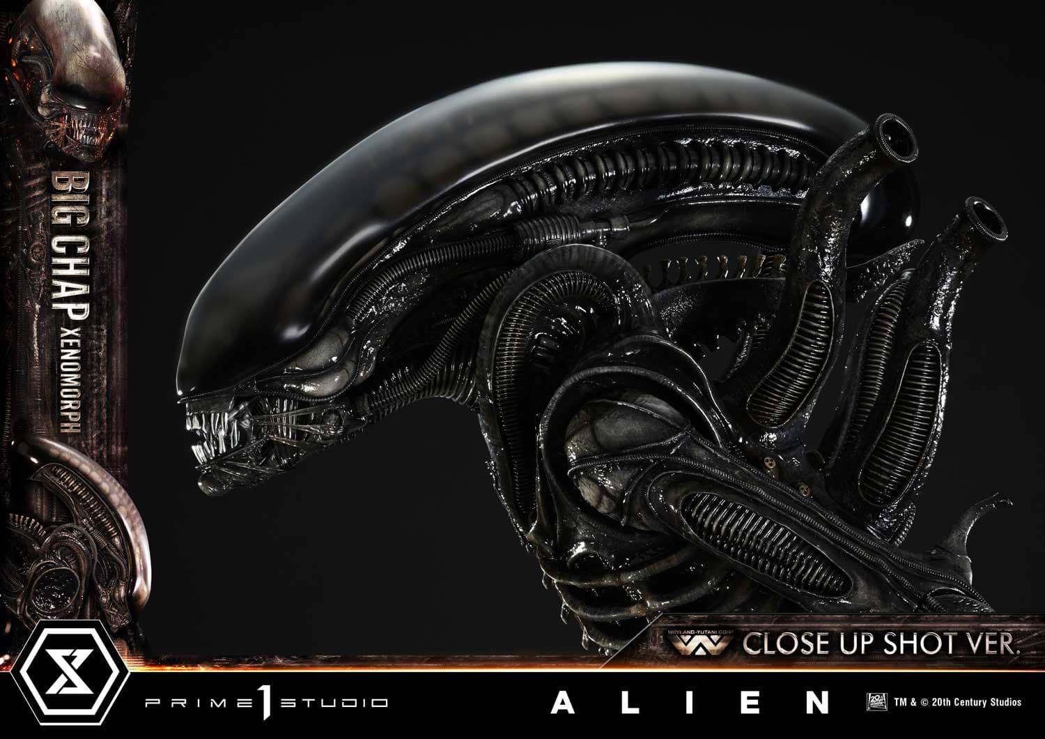 Big Chap Xenomorph (Version Regular) - Museum Masterline XL - Vue 23
