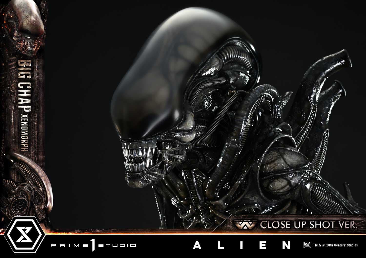 Big Chap Xenomorph (Version Regular) - Museum Masterline XL - Vue 24