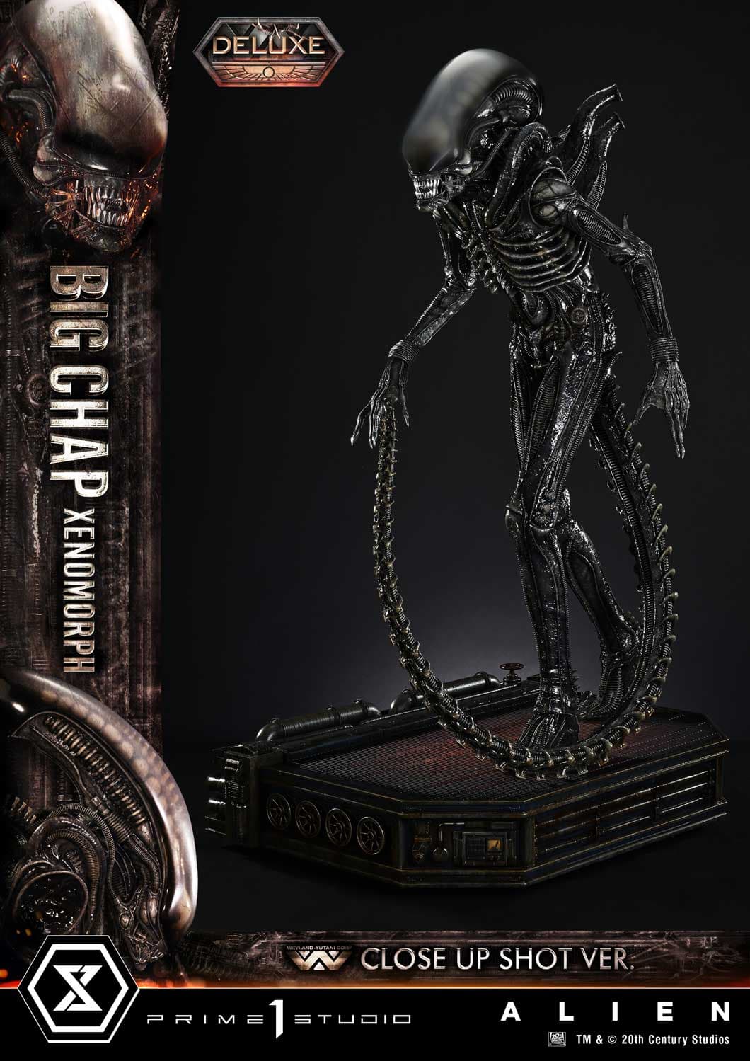 Big Chap Xenomorph (Version Deluxe Bonus) - Museum Masterline XL - Vue 17