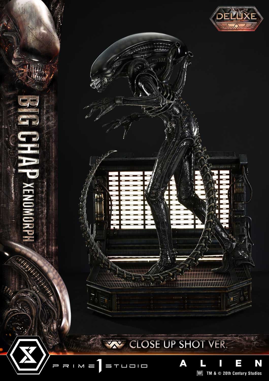 Big Chap Xenomorph (Version Deluxe Bonus) - Museum Masterline XL - Vue 20