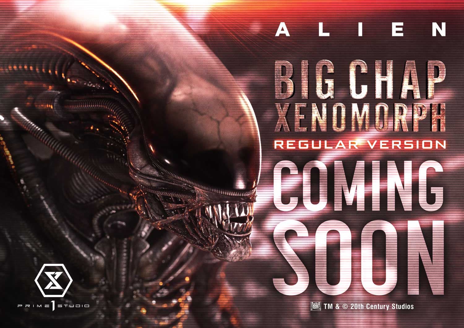Big Chap Xenomorph (Version Deluxe Bonus) - Museum Masterline XL - Vue 26