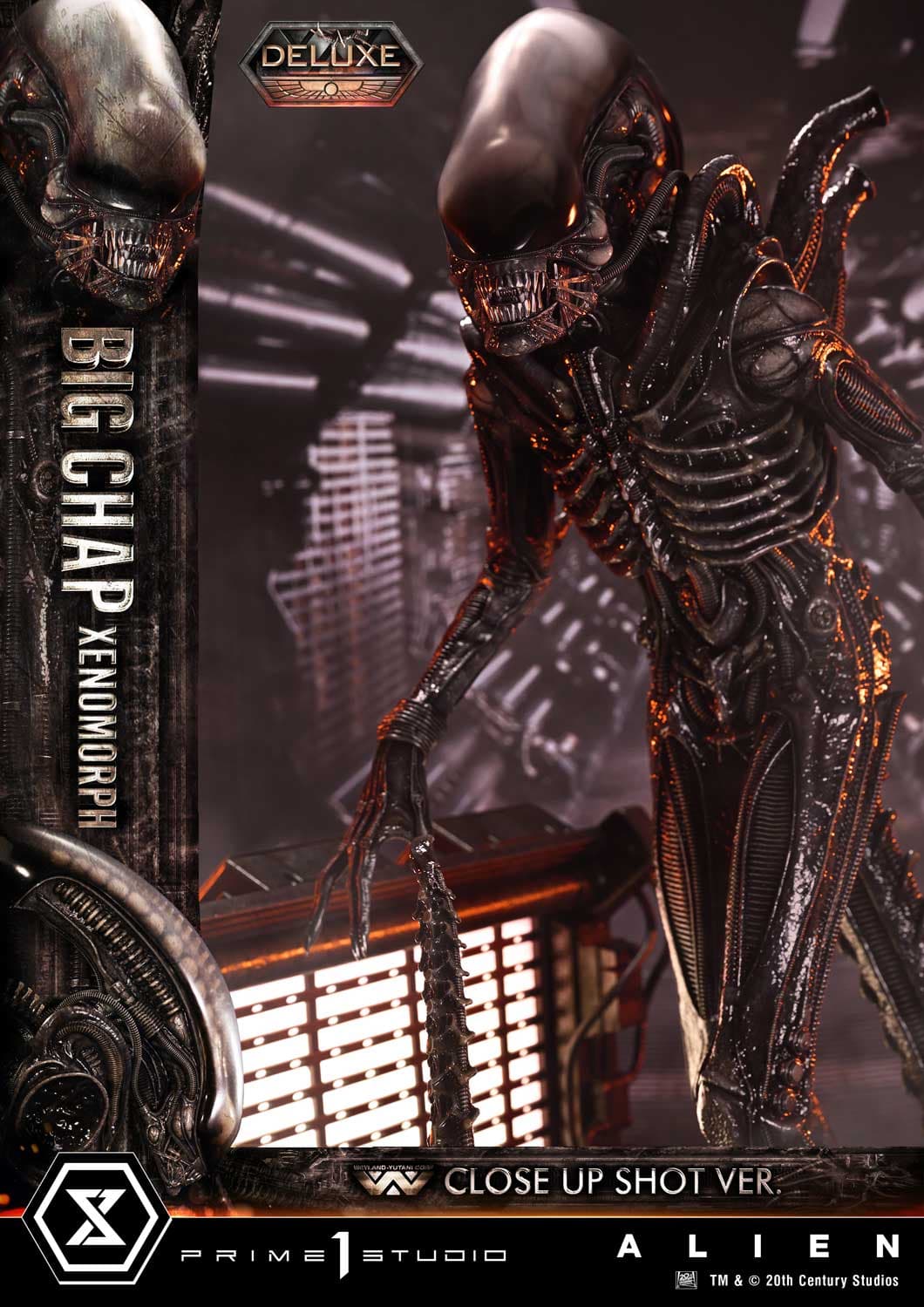 Big Chap Xenomorph (Version Deluxe Bonus) - Museum Masterline XL - Vue 28