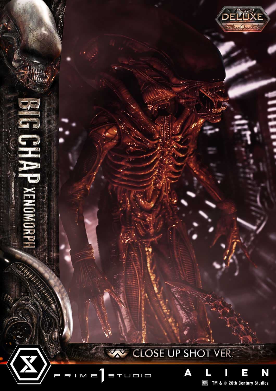 Big Chap Xenomorph (Version Deluxe Bonus) - Museum Masterline XL - Vue 29