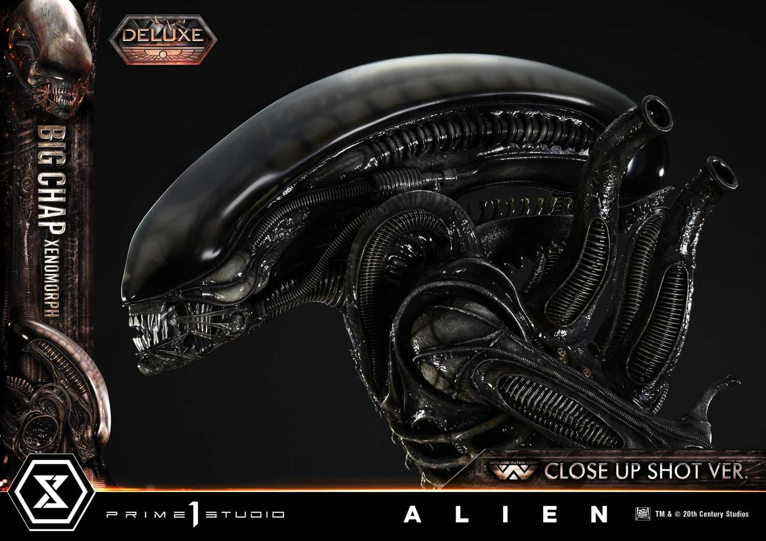 Big Chap Xenomorph (Version Deluxe Bonus) - Museum Masterline XL - Vue 30