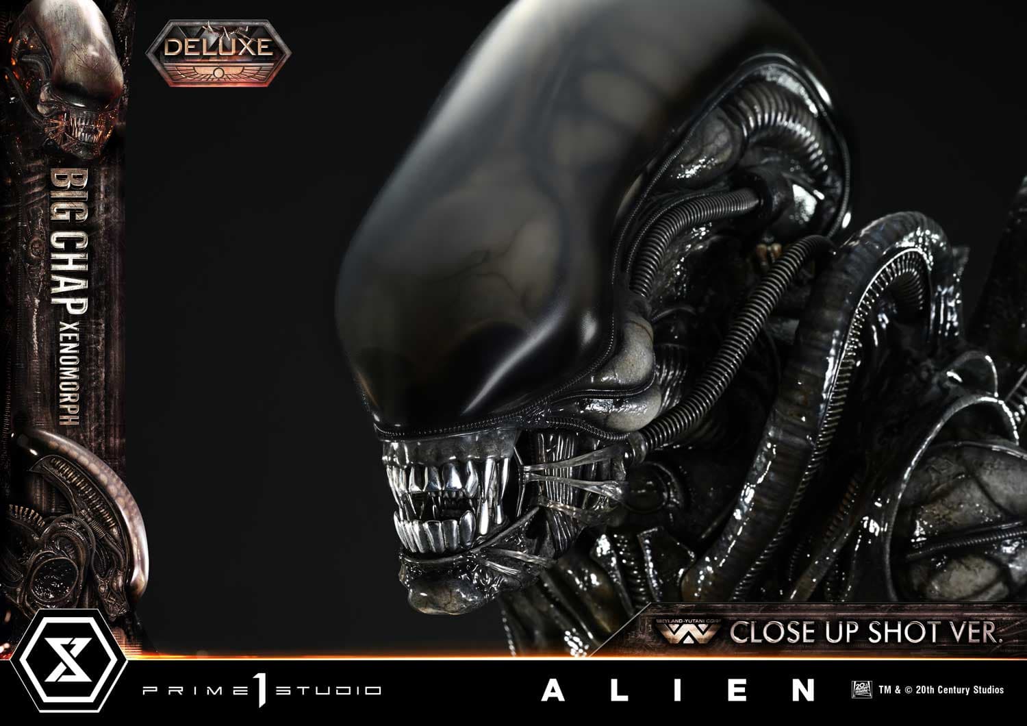 Big Chap Xenomorph (Version Deluxe Bonus) - Museum Masterline XL - Vue 31
