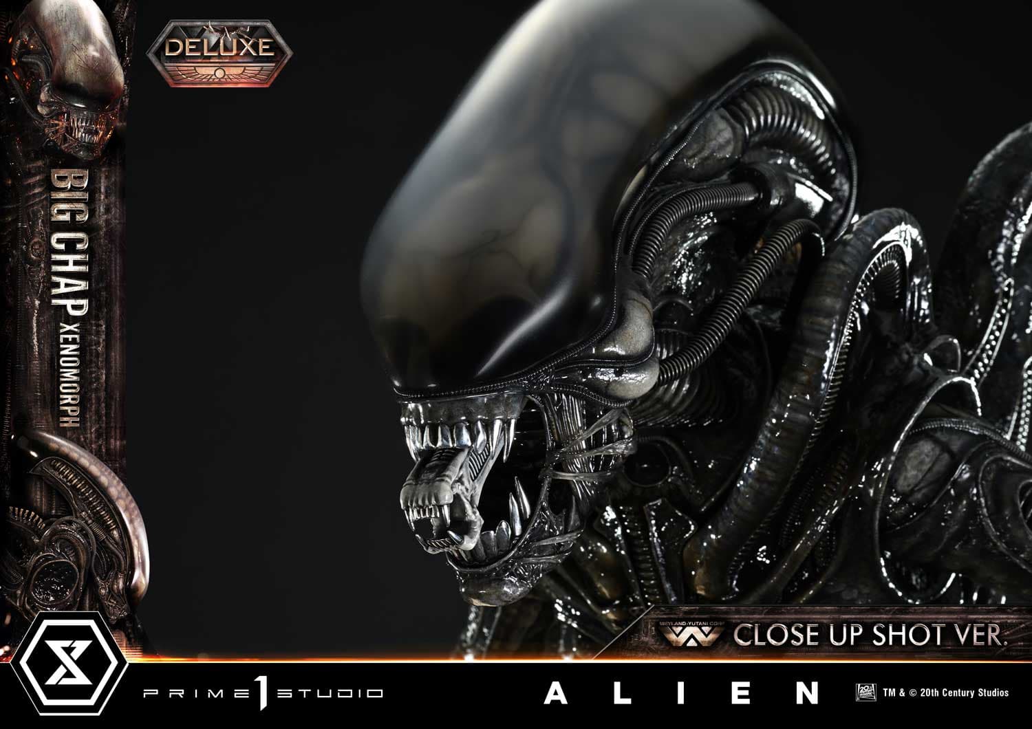 Big Chap Xenomorph (Version Deluxe Bonus) - Museum Masterline XL - Vue 33