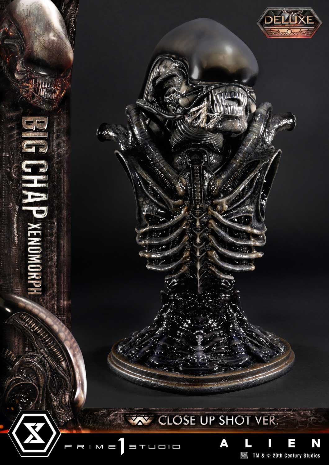 Big Chap Xenomorph (Version Deluxe Bonus) - Museum Masterline XL - Vue 34