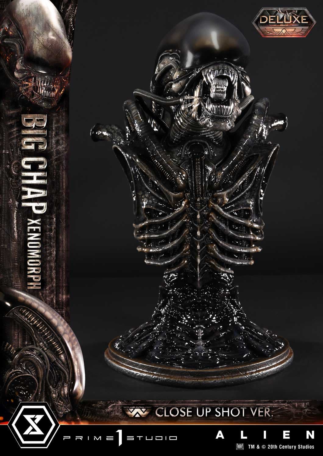 Big Chap Xenomorph (Version Deluxe Bonus) - Museum Masterline XL - Vue 35
