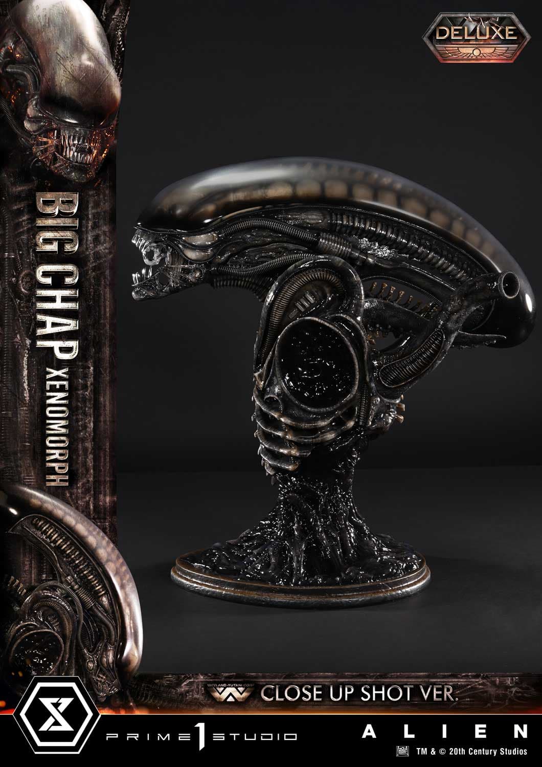 Big Chap Xenomorph (Version Deluxe Bonus) - Museum Masterline XL - Vue 36