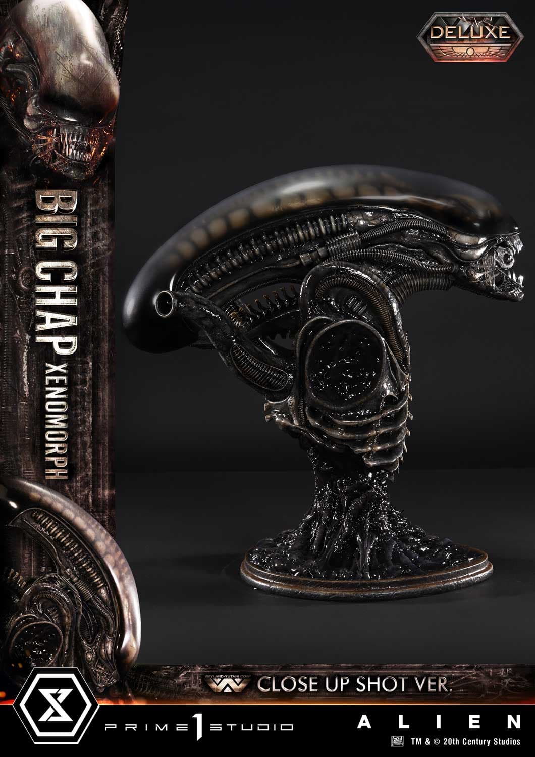 Big Chap Xenomorph (Version Deluxe Bonus) - Museum Masterline XL - Vue 37