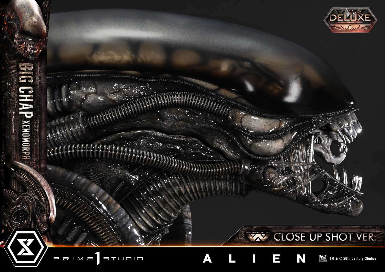 Big Chap Xenomorph (Version Deluxe Bonus) - Museum Masterline XL - Vue 41