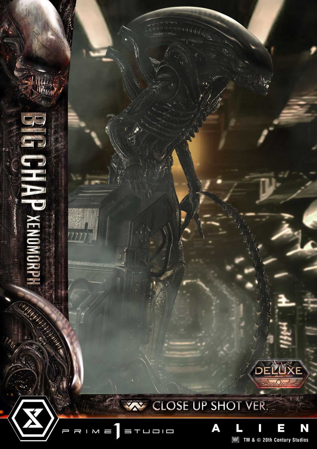 Big Chap Xenomorph (Version Deluxe Bonus) - Museum Masterline XL - Vue 44