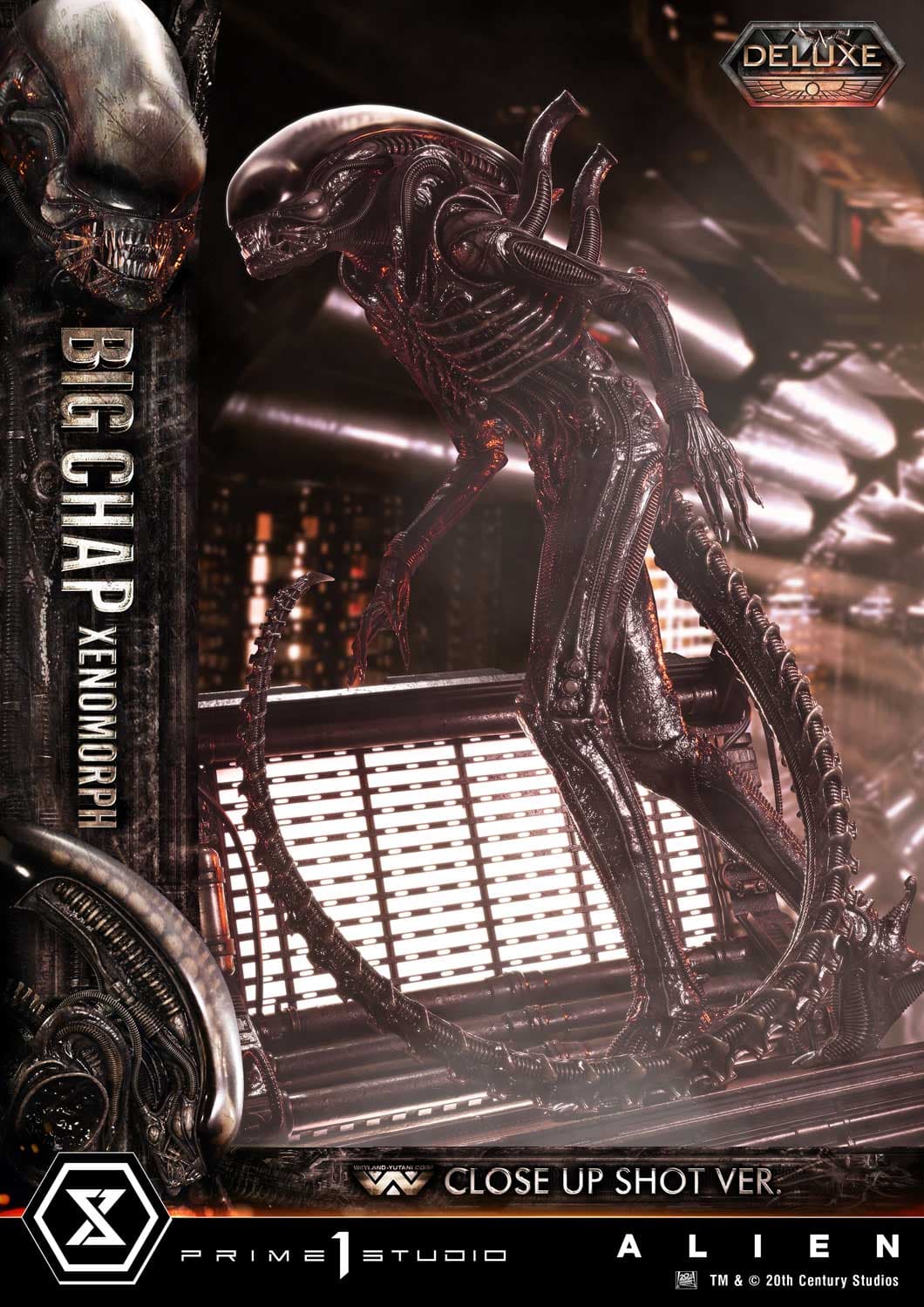 Big Chap Xenomorph (Version Deluxe Bonus) - Museum Masterline XL - Vue 45