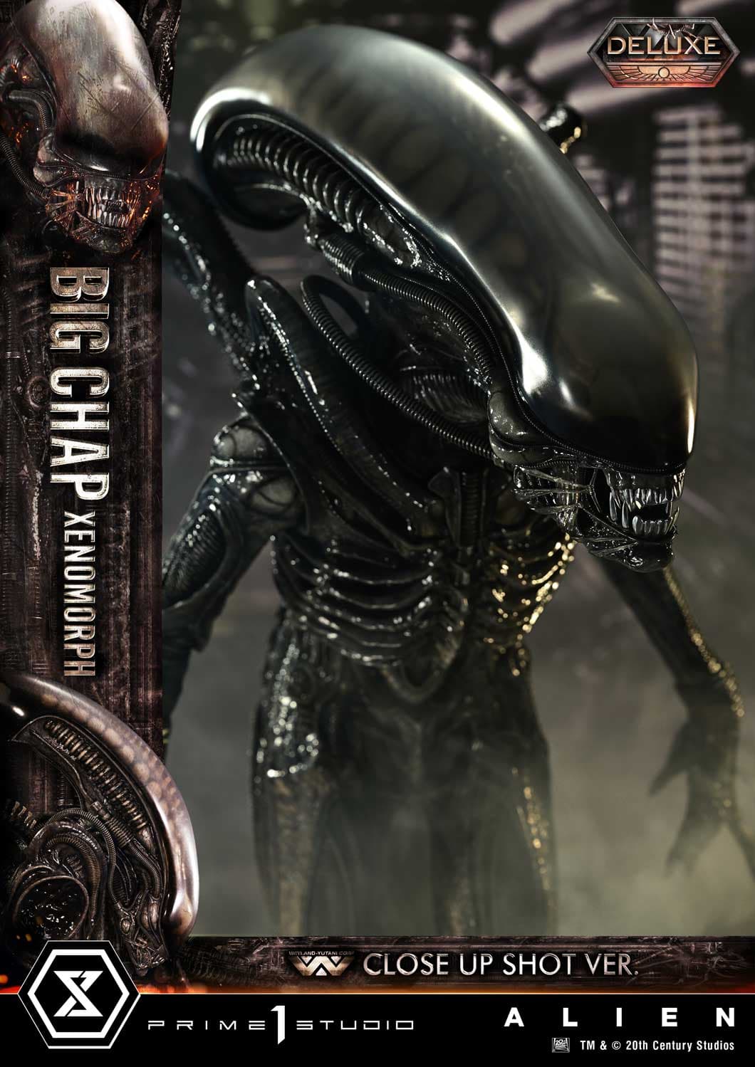 Big Chap Xenomorph (Version Deluxe Bonus) - Museum Masterline XL - Vue 47