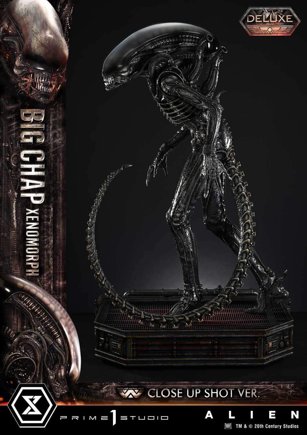 Big Chap Xenomorph (Version Deluxe Bonus) - Museum Masterline XL - Vue 51