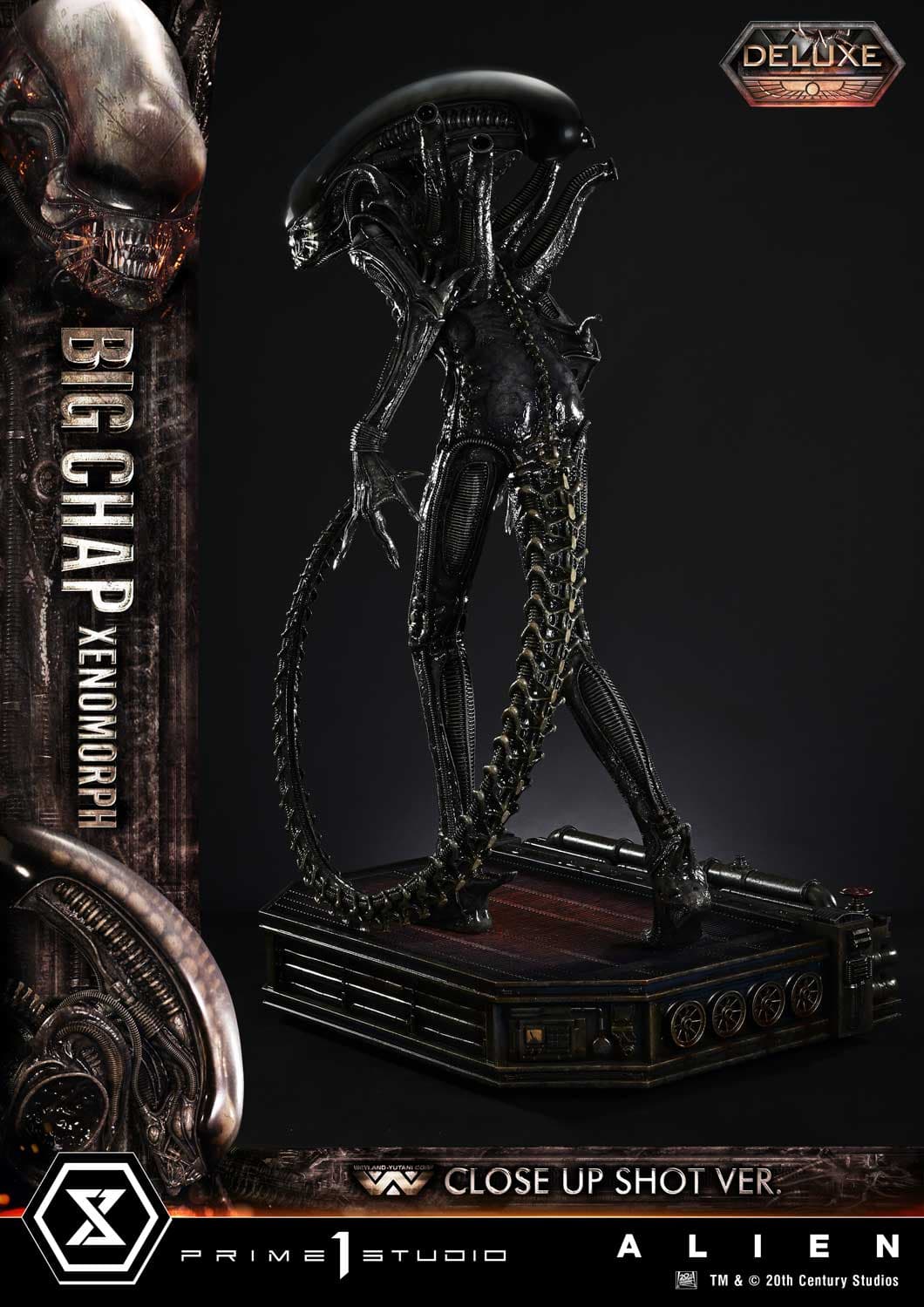Big Chap Xenomorph (Version Deluxe Bonus) - Museum Masterline XL - Vue 52