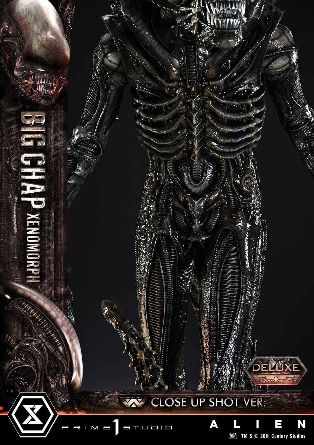 Big Chap Xenomorph (Version Deluxe Bonus) - Museum Masterline XL - Vue 54
