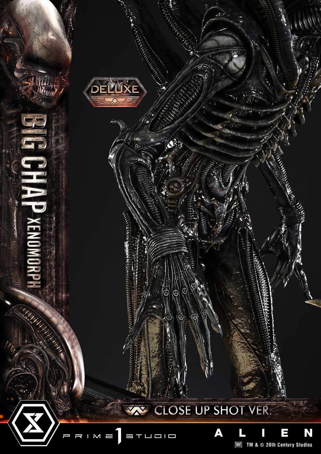 Big Chap Xenomorph (Version Deluxe Bonus) - Museum Masterline XL - Vue 55