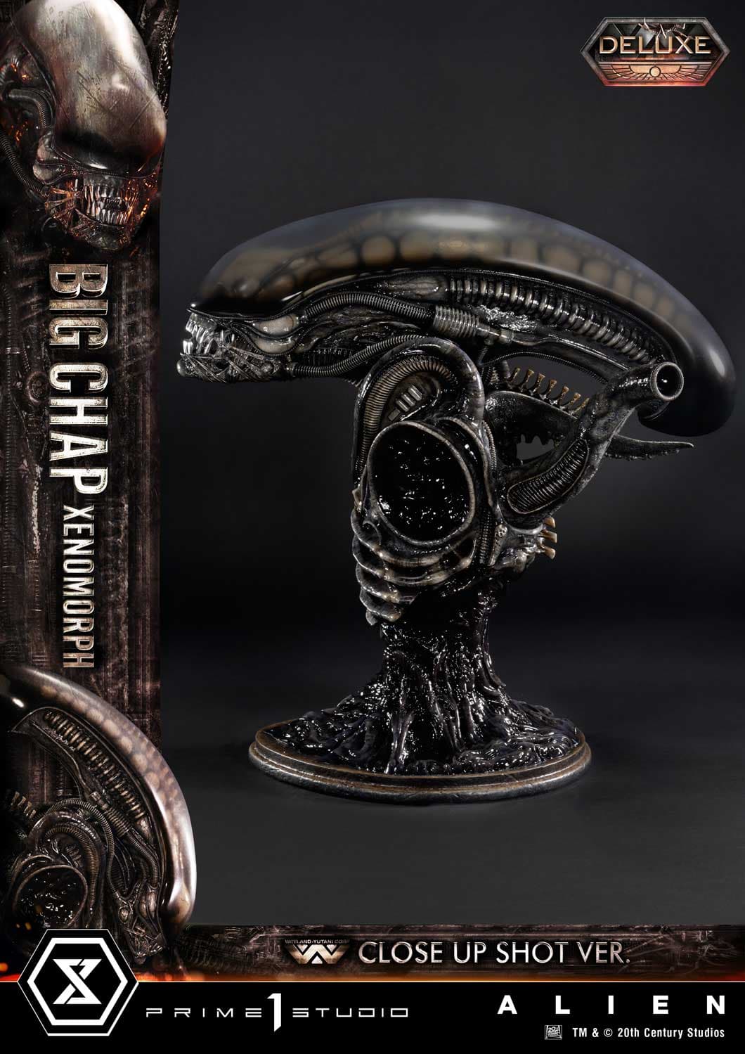 Big Chap Xenomorph (Version Deluxe Bonus) - Museum Masterline XL - Vue 57