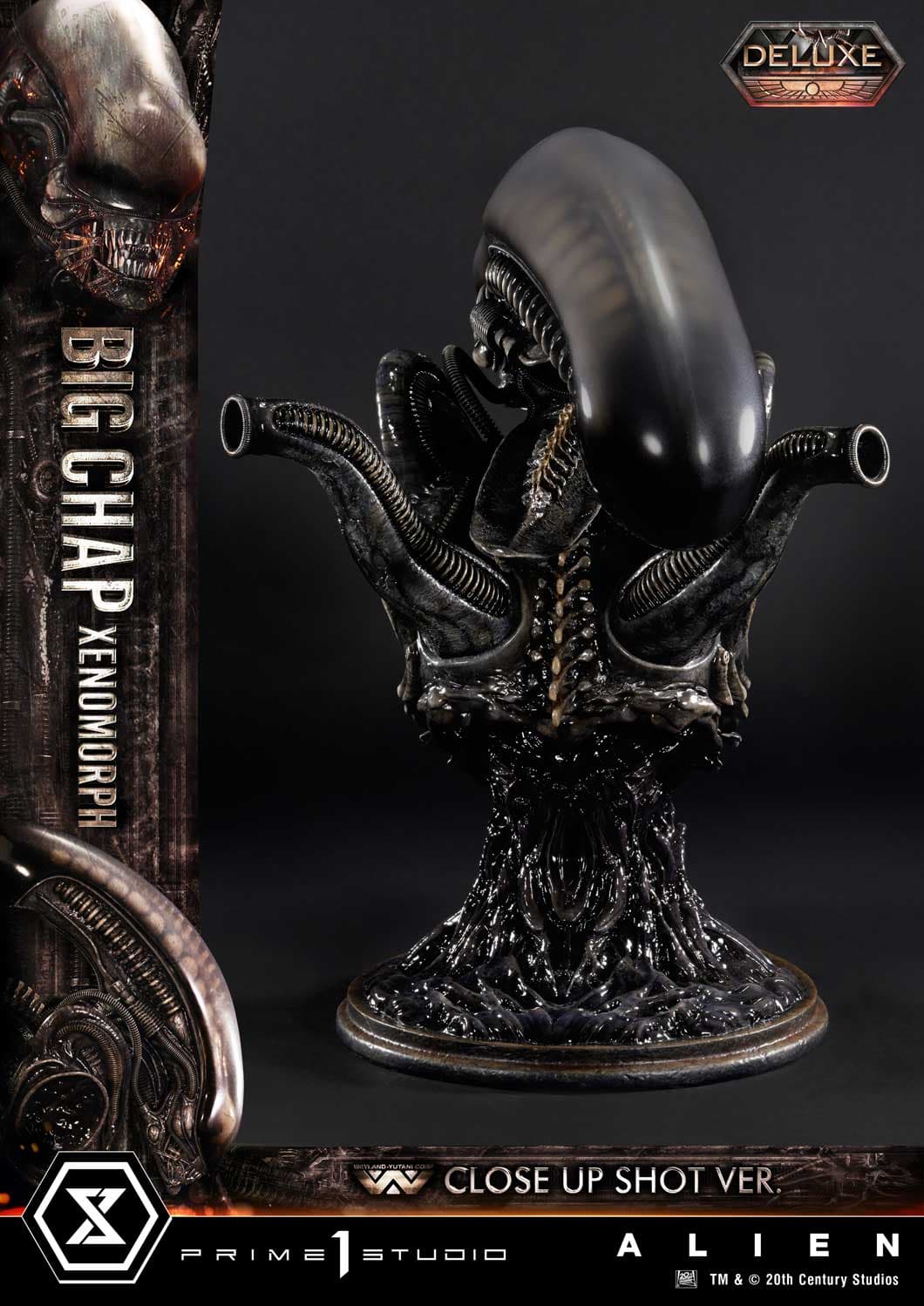 Big Chap Xenomorph (Version Deluxe Bonus) - Museum Masterline XL - Vue 58