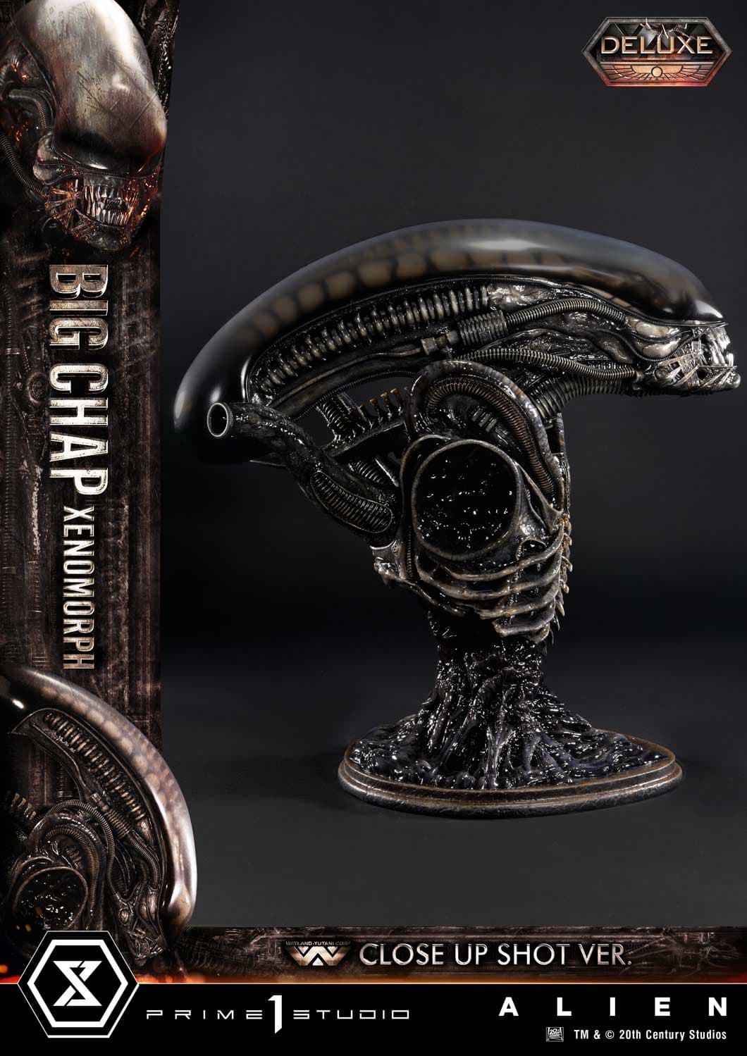 Big Chap Xenomorph (Version Deluxe Bonus) - Museum Masterline XL - Vue 59