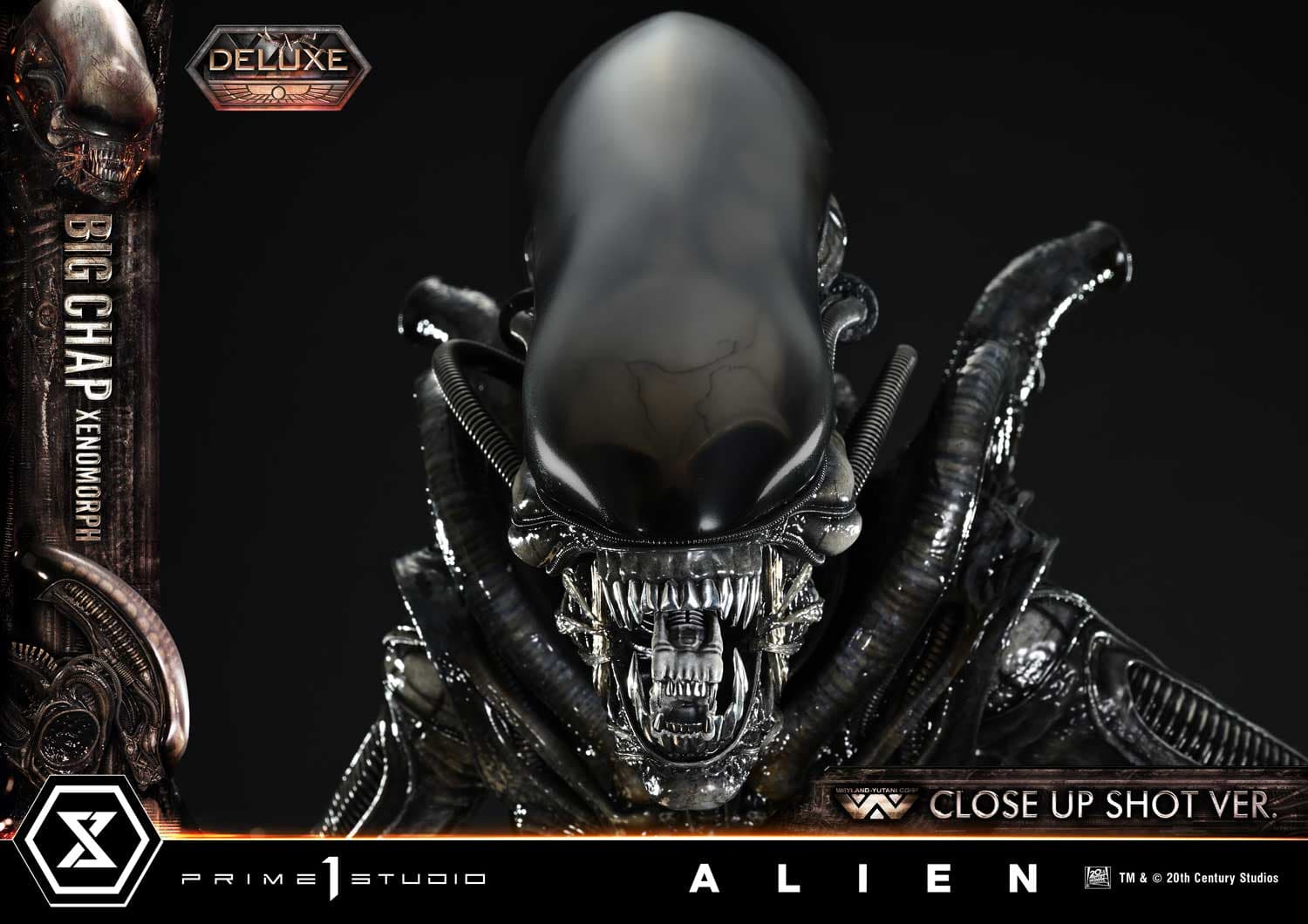 Big Chap Xenomorph (Version Deluxe Bonus) - Museum Masterline XL - Vue 69